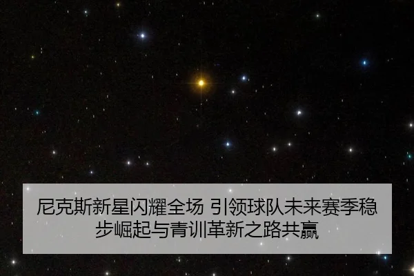 ni-ke-si-xin-xing-shan-yao-quan-chang-yin-ling-qiu-dui-wei-lai-sai-ji-wen-bu-jue-qi-yu-qing-xun-ge-xin-zhi-lu-gong-ying-2-347.jpg