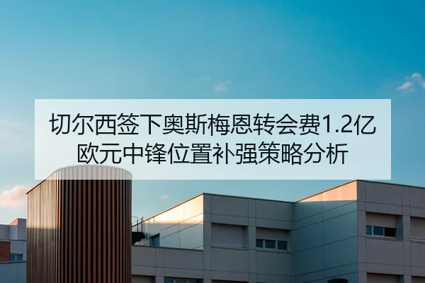 切尔西签下奥斯梅恩转会费1.2亿欧元中锋位置补强策略分析