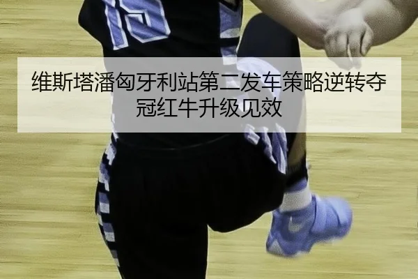 wei-si-ta-pan-xiong-ya-li-zhan-di-er-fa-che-ce-lve-ni-zhuan-duo-guan-hong-niu-sheng-ji-jian-xiao-3-622.jpg